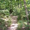 Another Trail at Roaring River State Park
