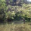 Relaxing in Zone 2 Fishing Area at Roaring River