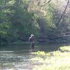 Fly Fishing in Zone 2 at Roaring River 