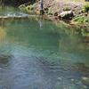 View of Roaring River Trout